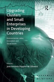 Upgrading Clusters and Small Enterprises in Developing Countries: Environmental, Labor, Innovation and Social Issues book cover