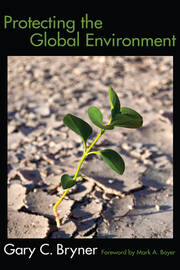 Protecting the Global Environment book cover