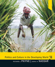 Politics and Culture in the Developing World book cover