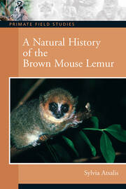 A Natural History of the Brown Mouse Lemur book cover