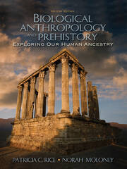 Biological Anthropology and Prehistory: Exploring Our Human Ancestry book cover