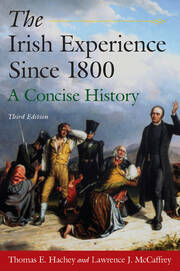 The Irish Experience Since 1800: A Concise History: A Concise History book cover