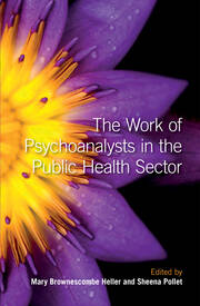 The Work of Psychoanalysts in the Public Health Sector book cover
