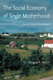The Social Economy of Single Motherhood: Raising Children in Rural America book cover