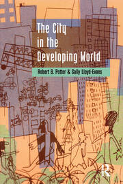 The City in the Developing World book cover