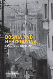Bosnia and Herzegovina: A Polity on the Brink book cover