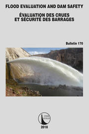 Flood Evaluation and Dam Safety book cover