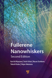Fullerene Nanowhiskers book cover