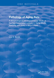 Pathology Of Aging Rats book cover