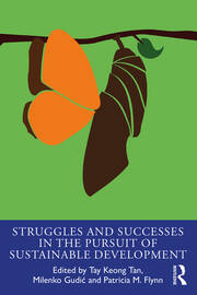 Struggles and Successes in the Pursuit of Sustainable Development book cover