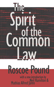 The Spirit of the Common Law book cover