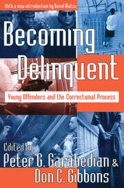 Becoming Delinquent: Young Offenders and the Correctional Process book cover