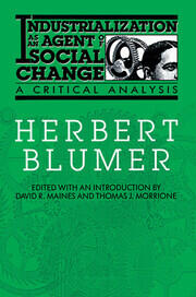 Industrialization as an Agent of Social Change: A Critical Analysis book cover