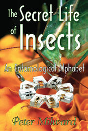 The Secret Life of Insects: An Entomological Alphabet book cover