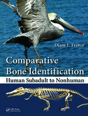Comparative Bone Identification: Human Subadult to Nonhuman book cover