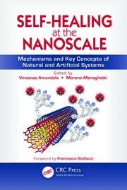 Self-Healing at the Nanoscale: Mechanisms and Key Concepts of Natural and Artificial Systems book cover