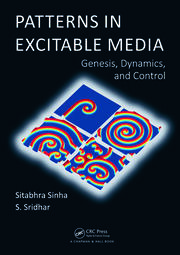Patterns in Excitable Media: Genesis, Dynamics, and Control book cover