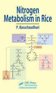 Nitrogen Metabolism in Rice book cover
