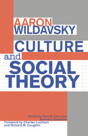 Culture and Social Theory book cover