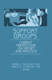 Support Groups: Current Perspectives on Theory and Practice book cover