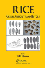 Rice: Origin, Antiquity and History book cover