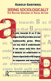 Seeing Sociologically: The Routine Grounds of Social Action book cover