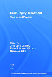 Brain Injury Treatment: Theories and Practices book cover