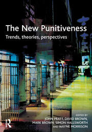 The New Punitiveness book cover