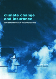 Climate Change and Insurance: Disaster Risk Financing in Developing Countries book cover