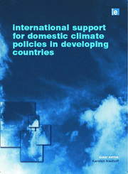 International Support for Domestic Climate Policies in Developing Countries book cover
