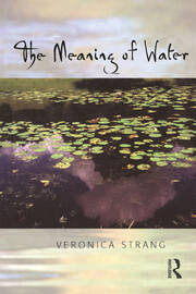 The Meaning of Water book cover