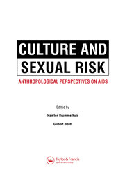 Culture and Sexual Risk book cover