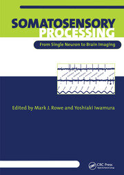 Somatosensory Processing: From Single Neuron to Brain Imaging book cover